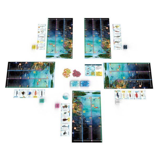 画像2: フィンスパン 日本語版 (2)