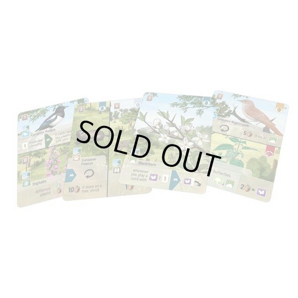 画像3: フォレストシャッフル：林緑 日本語版 (3)