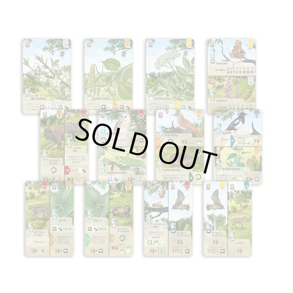 画像2: フォレストシャッフル：林緑 日本語版 (2)